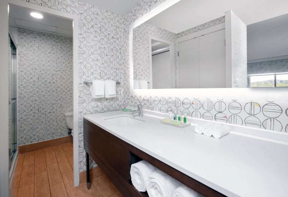 Holiday Inn Binghamton-Downtown Hawley Street by IHG Image 29